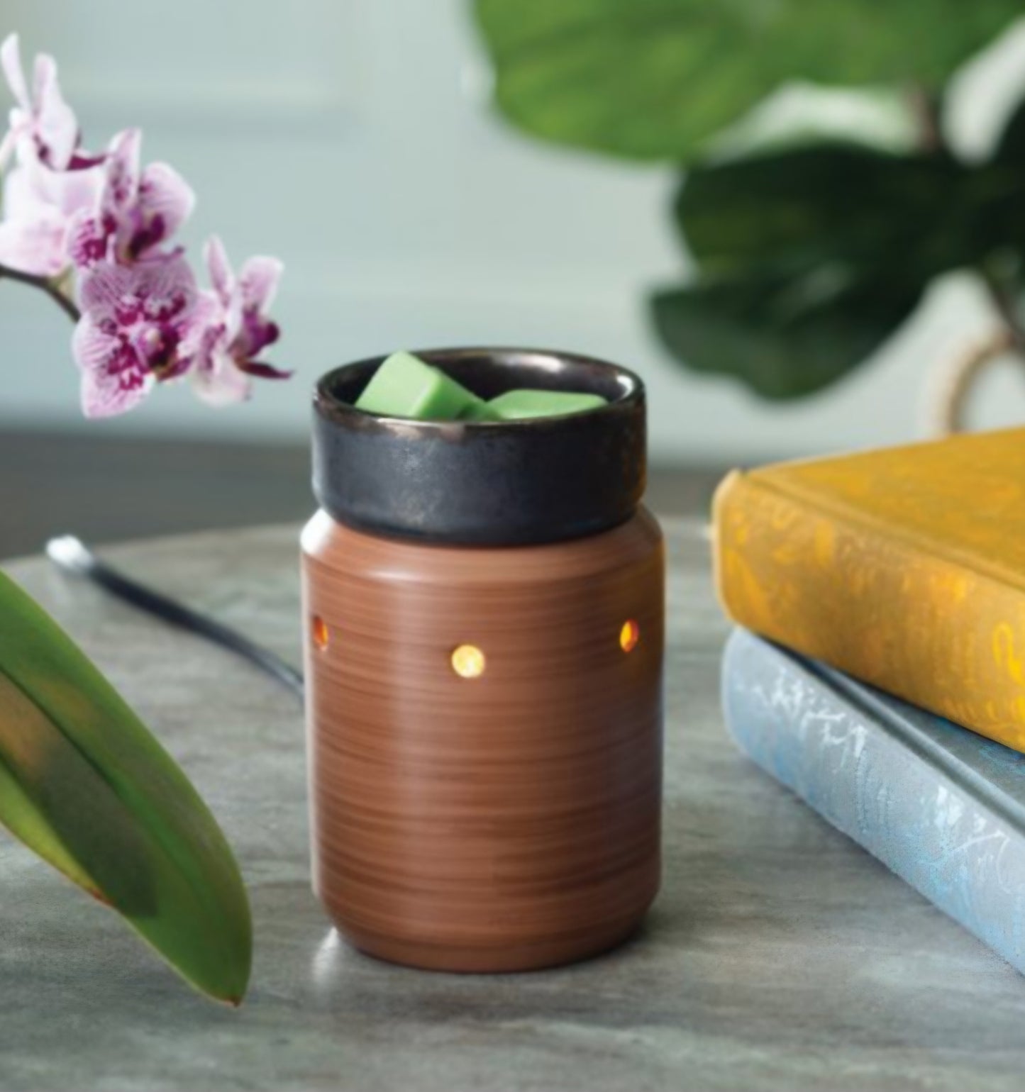 Pewter Walnut Midsize Illumination Fragrance Warmer