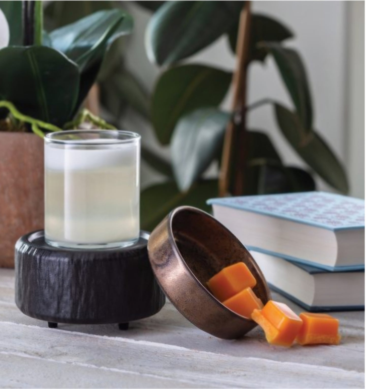 Primitive Black 2-In-1 Classic Fragrance Warmer